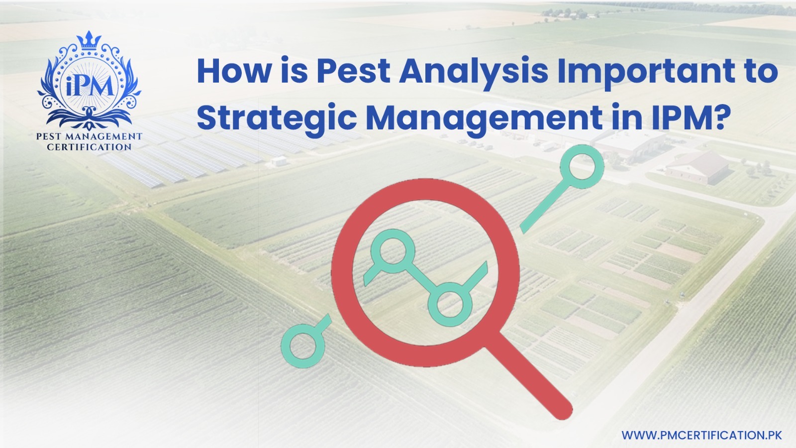 PEST Analysis and Strategic Management
